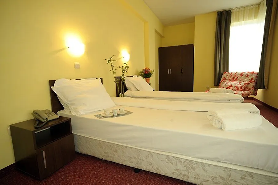 Hotel Alexander ソフィア